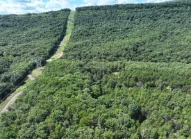 20.32 Ac Trough Rd, Moorefield, WV 26836