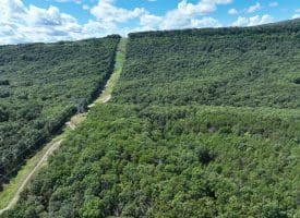 20.32 Ac Trough Rd, Moorefield, WV 26836