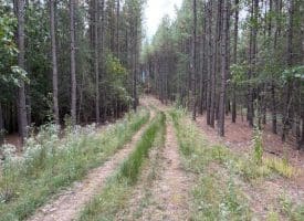 26.89 Ac N. Texas Rd, Delray, WV 26714