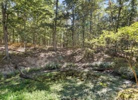 2370 Kerns School Rd, Springfield, WV 26763