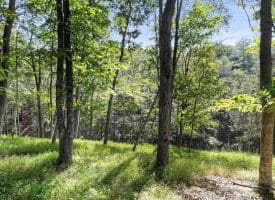 341 White Oak Trl, Paw Paw, WV 25434