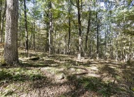 4478 Foxes Hollow Rd, Romney, WV 26757