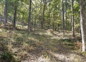 4478 Foxes Hollow Rd, Romney, WV 26757