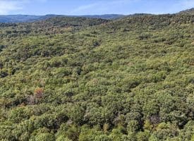 2370 Kerns School Rd, Springfield, WV 26763