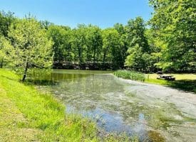 2370 Kerns School Rd, Springfield, WV 26763