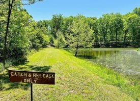 2370 Kerns School Rd, Springfield, WV 26763