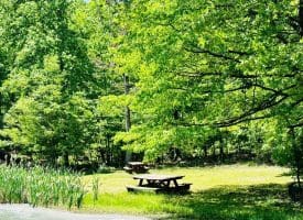 2370 Kerns School Rd, Springfield, WV 26763