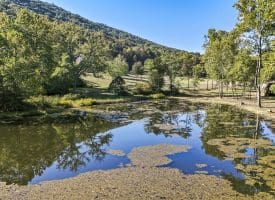 4478 Foxes Hollow Rd, Romney, WV 26757
