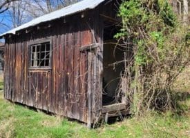 99 Little Cacapon Rd, Romney, WV 26757