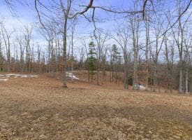 201 Rebel Hill Dr, Augusta, WV 26704