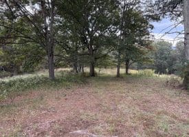 36.02 Ac Parker Hollow Rd, Lost River, WV 26810