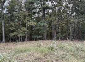 36.02 Ac Parker Hollow Rd, Lost River, WV 26810