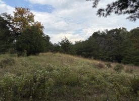 36.02 Ac Parker Hollow Rd, Lost River, WV 26810