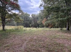 36.02 Ac Parker Hollow Rd, Lost River, WV 26810