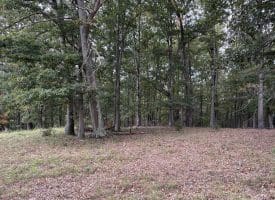 36.02 Ac Parker Hollow Rd, Lost River, WV 26810
