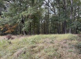 36.02 Ac Parker Hollow Rd, Lost River, WV 26810
