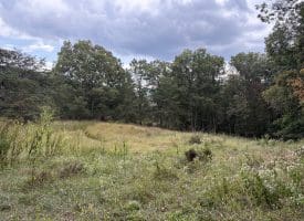 36.02 Ac Parker Hollow Rd, Lost River, WV 26810