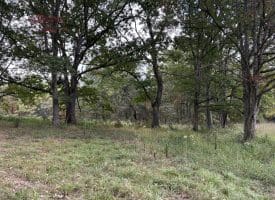 36.02 Ac Parker Hollow Rd, Lost River, WV 26810