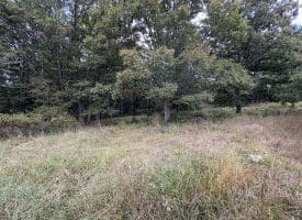 36.02 Ac Parker Hollow Rd, Lost River, WV 26810