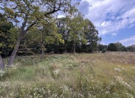 36.02 Ac Parker Hollow Rd, Lost River, WV 26810