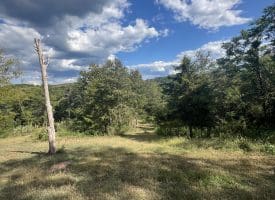 1194 Feller Dr, Levels, WV 25431
