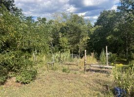 1194 Feller Dr, Levels, WV 25431