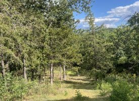 1194 Feller Dr, Levels, WV 25431
