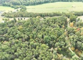 178 Fossil Ln, Delray, WV 26714