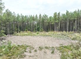 26.89 Ac N. Texas Rd, Delray, WV 26714