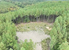 26.89 Ac N. Texas Rd, Delray, WV 26714