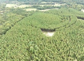 26.89 Ac N. Texas Rd, Delray, WV 26714