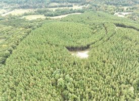 26.89 Ac N. Texas Rd, Delray, WV 26714
