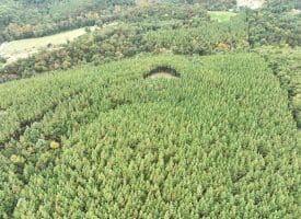 26.89 Ac N. Texas Rd, Delray, WV 26714