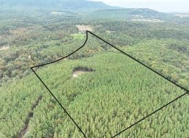 26.89 Ac N. Texas Rd, Delray, WV 26714