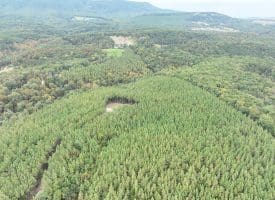 26.89 Ac N. Texas Rd, Delray, WV 26714