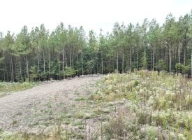 26.89 Ac N. Texas Rd, Delray, WV 26714