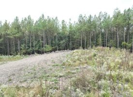 26.89 Ac N. Texas Rd, Delray, WV 26714