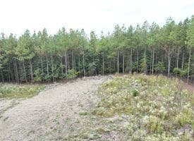 26.89 Ac N. Texas Rd, Delray, WV 26714