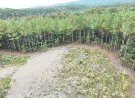 26.89 Ac N. Texas Rd, Delray, WV 26714