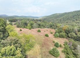 36.02 Ac Parker Hollow Rd, Lost River, WV 26810