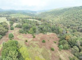 36.02 Ac Parker Hollow Rd, Lost River, WV 26810
