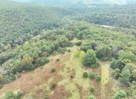 36.02 Ac Parker Hollow Rd, Lost River, WV 26810