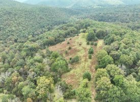 36.02 Ac Parker Hollow Rd, Lost River, WV 26810
