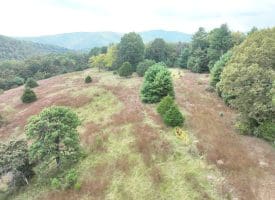 36.02 Ac Parker Hollow Rd, Lost River, WV 26810
