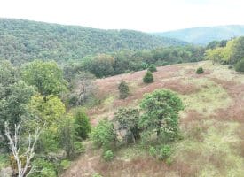 36.02 Ac Parker Hollow Rd, Lost River, WV 26810