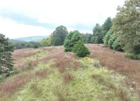 36.02 Ac Parker Hollow Rd, Lost River, WV 26810
