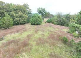 36.02 Ac Parker Hollow Rd, Lost River, WV 26810