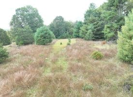 36.02 Ac Parker Hollow Rd, Lost River, WV 26810