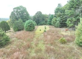 36.02 Ac Parker Hollow Rd, Lost River, WV 26810