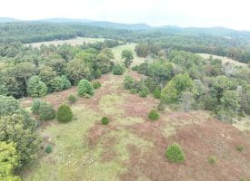 36.02 Ac Parker Hollow Rd, Lost River, WV 26810